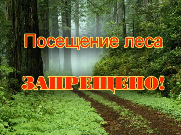 17132309619532a