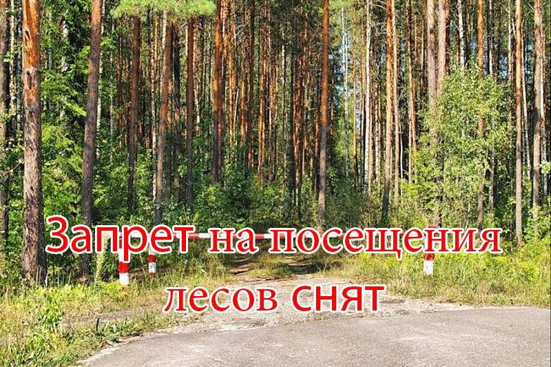 запрет