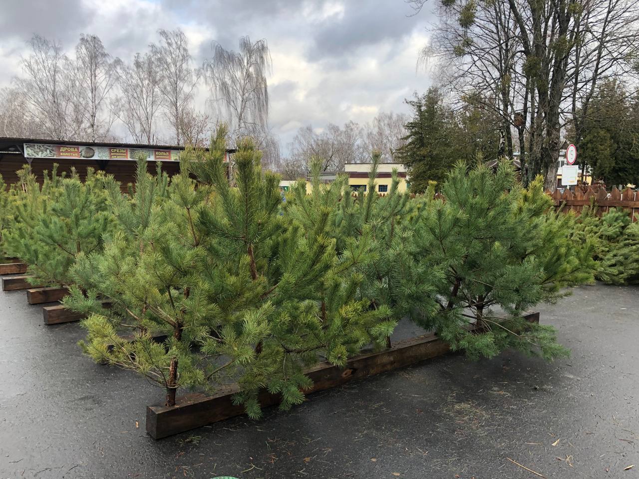 photo 2023 12 23 08 31 20