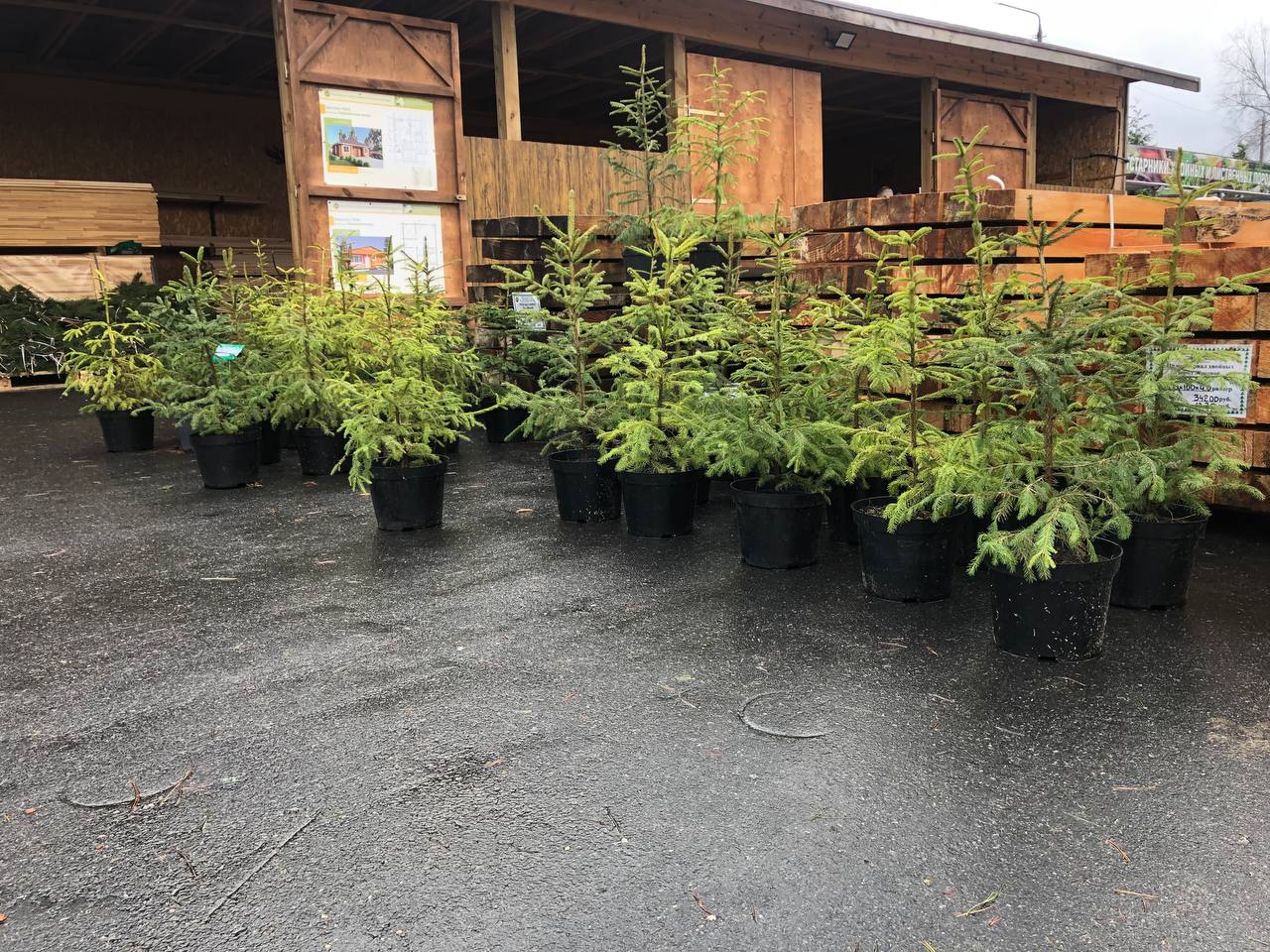 photo 2023 12 23 08 31 22
