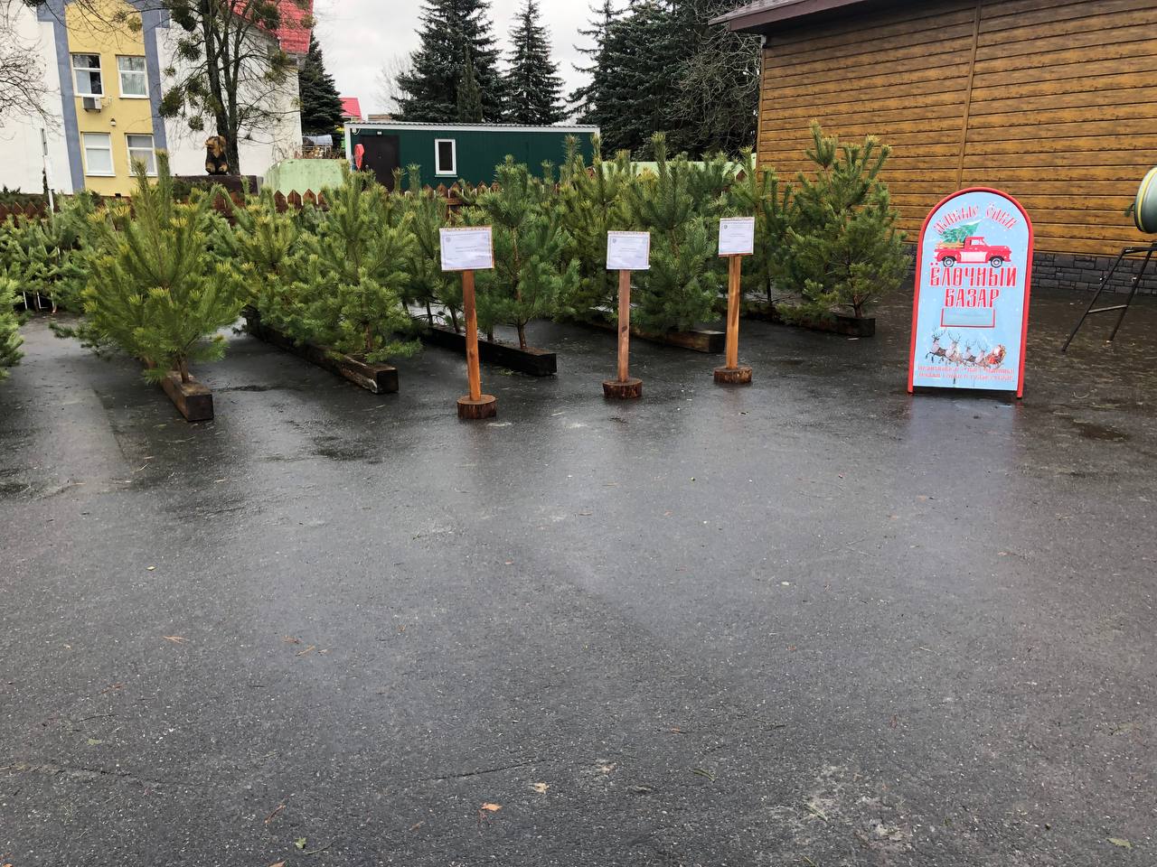 photo 2023 12 23 08 31 23