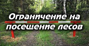 photo 2023 06 08 17 56 13