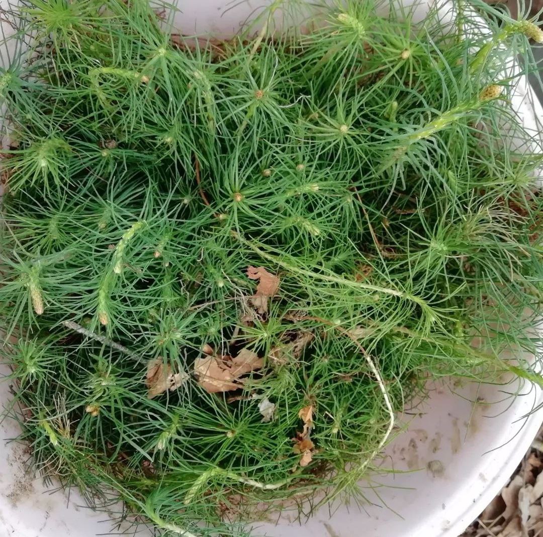 photo16831305652