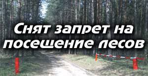 photo 2023 06 12 09 38 37