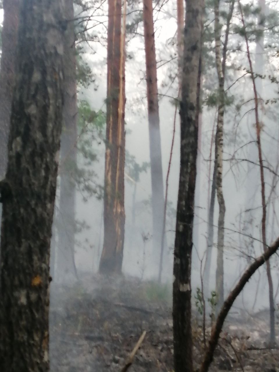 photo 2023 06 20 10 44 51