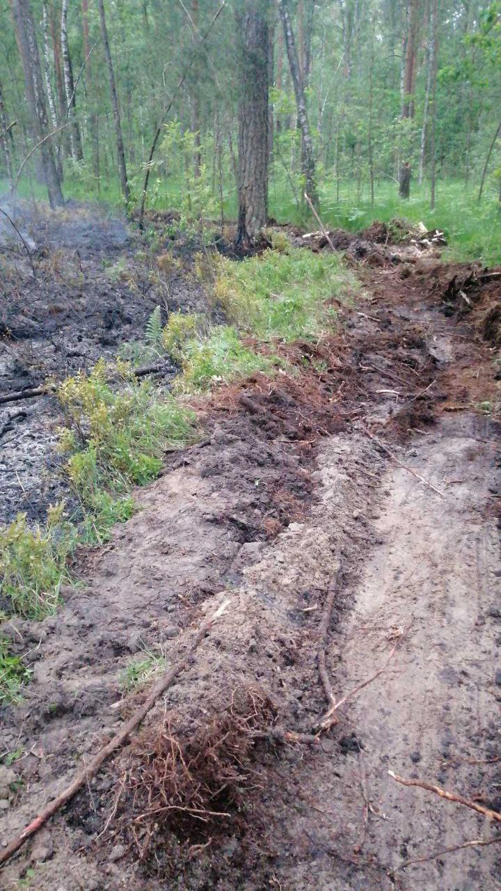 photo 2023 06 20 10 45 00