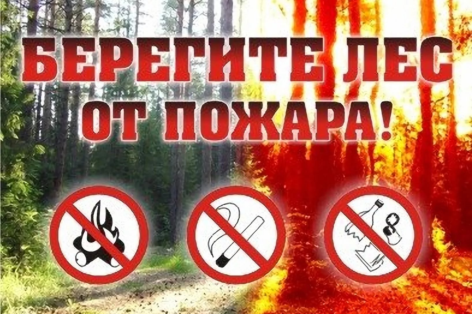 pozharyi
