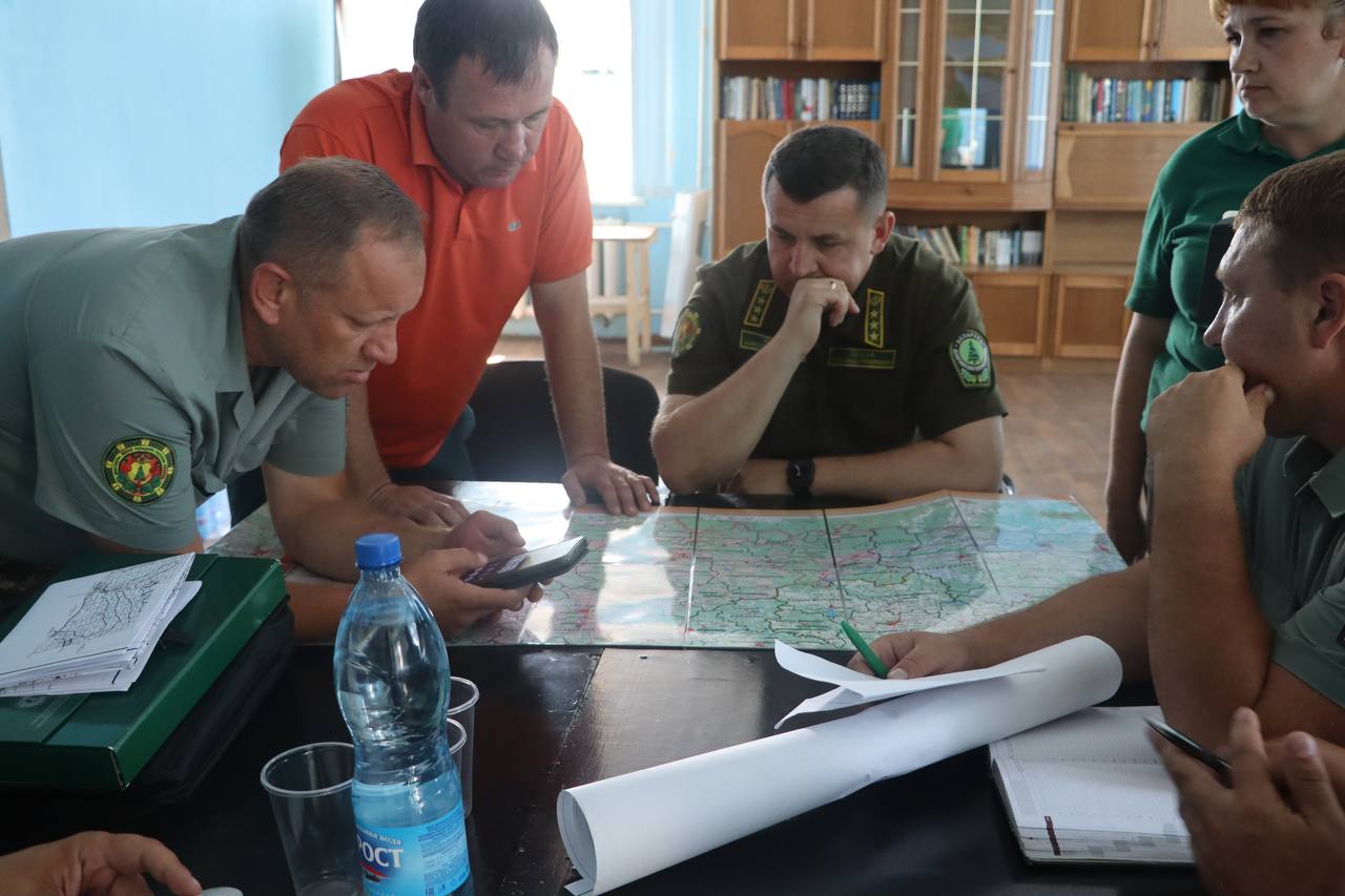 photo 2024 07 16 16 31 32