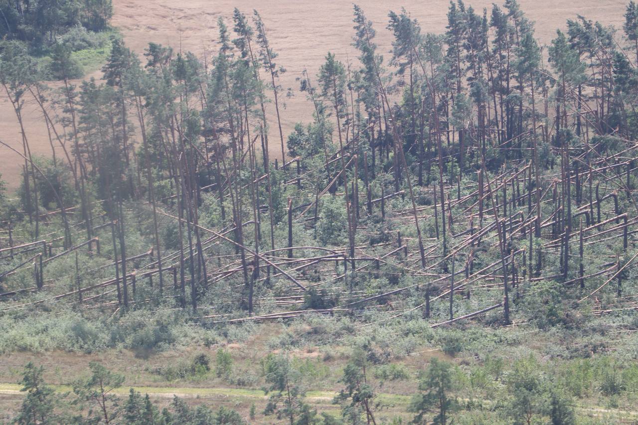 photo 2024 07 16 16 36 34