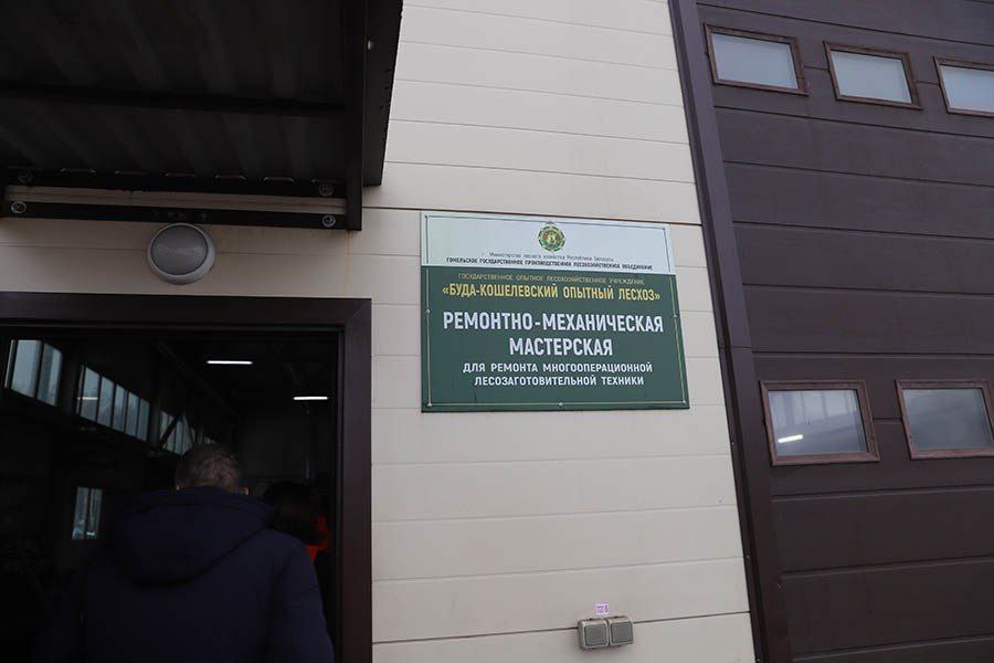 photo 2024 01 31 16 15 51