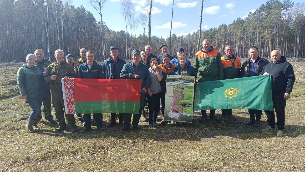 photo 2024 03 26 15 10 30