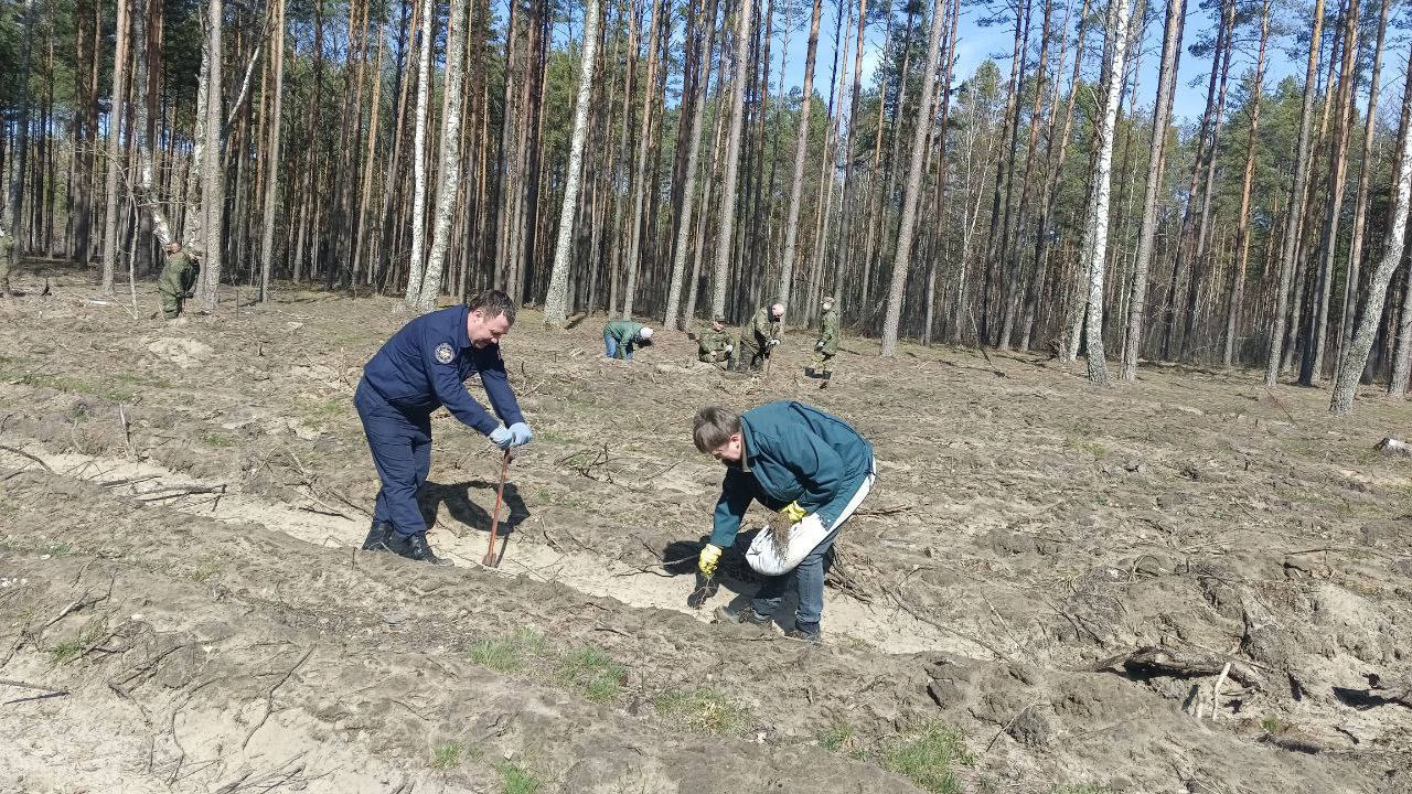 photo 2024 03 26 15 10 38