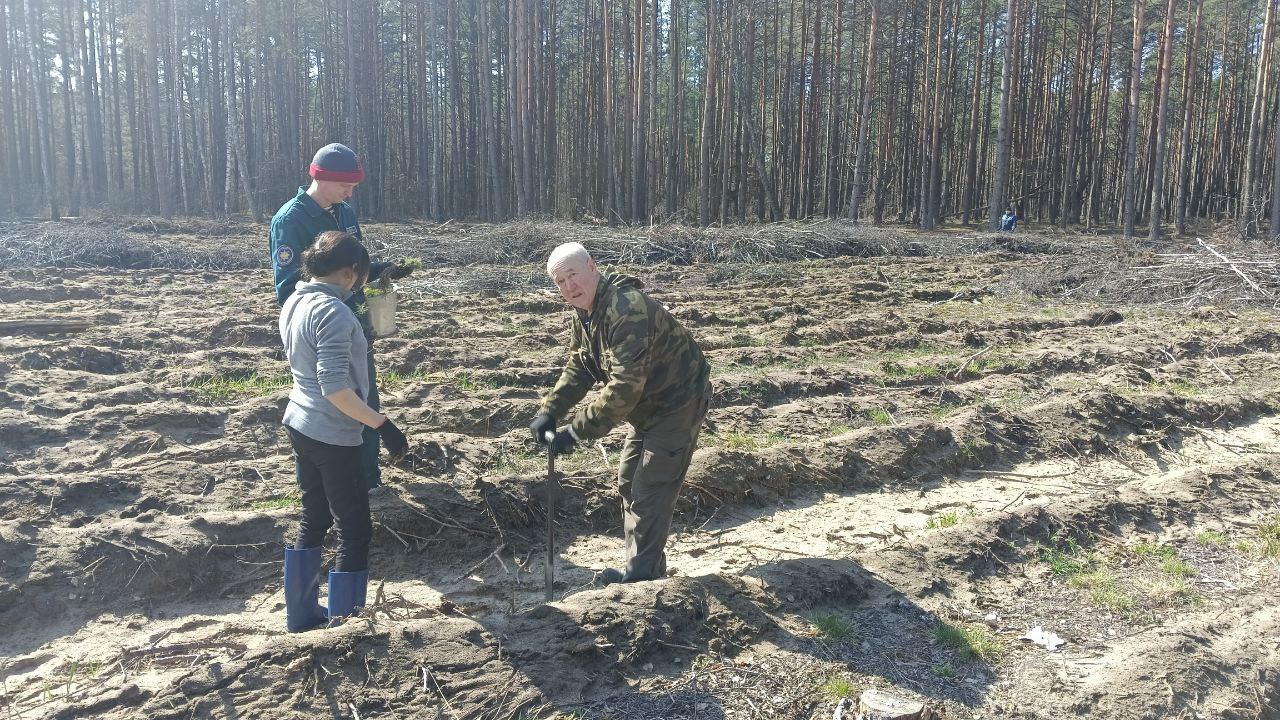photo 2024 03 26 15 10 46