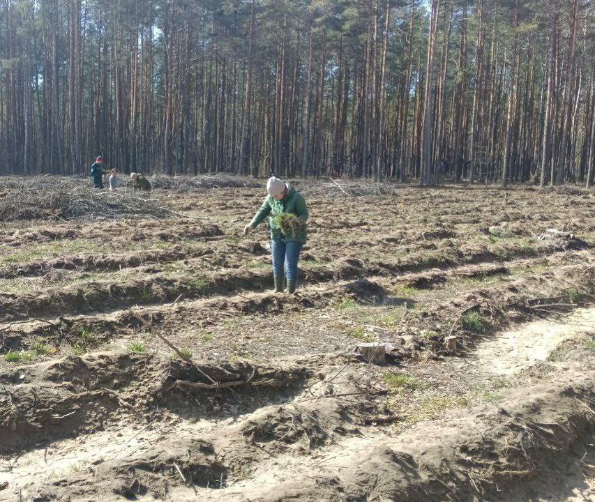 photo 2024 03 26 15 10 46 2