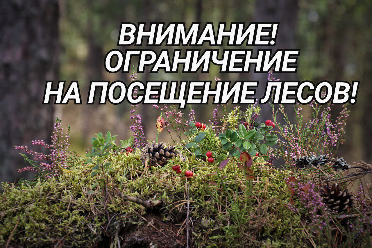 ogranichenir