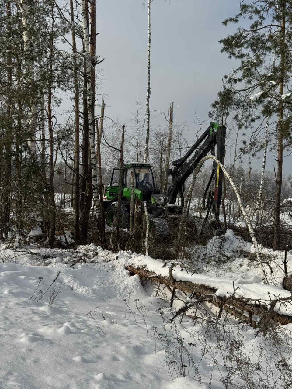 photo 2026 01 23 14 22 35 2