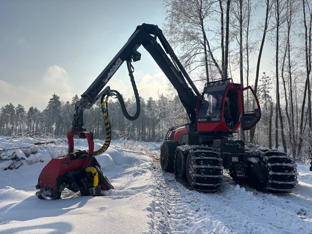 photo 2026 01 26 11 40 56