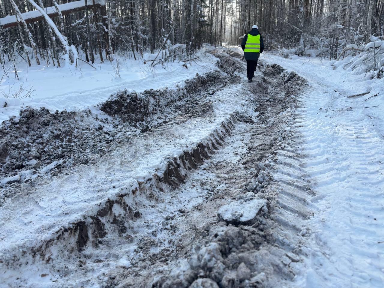 photo 2026 01 26 11 40 57