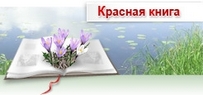 Красная Книга РБ