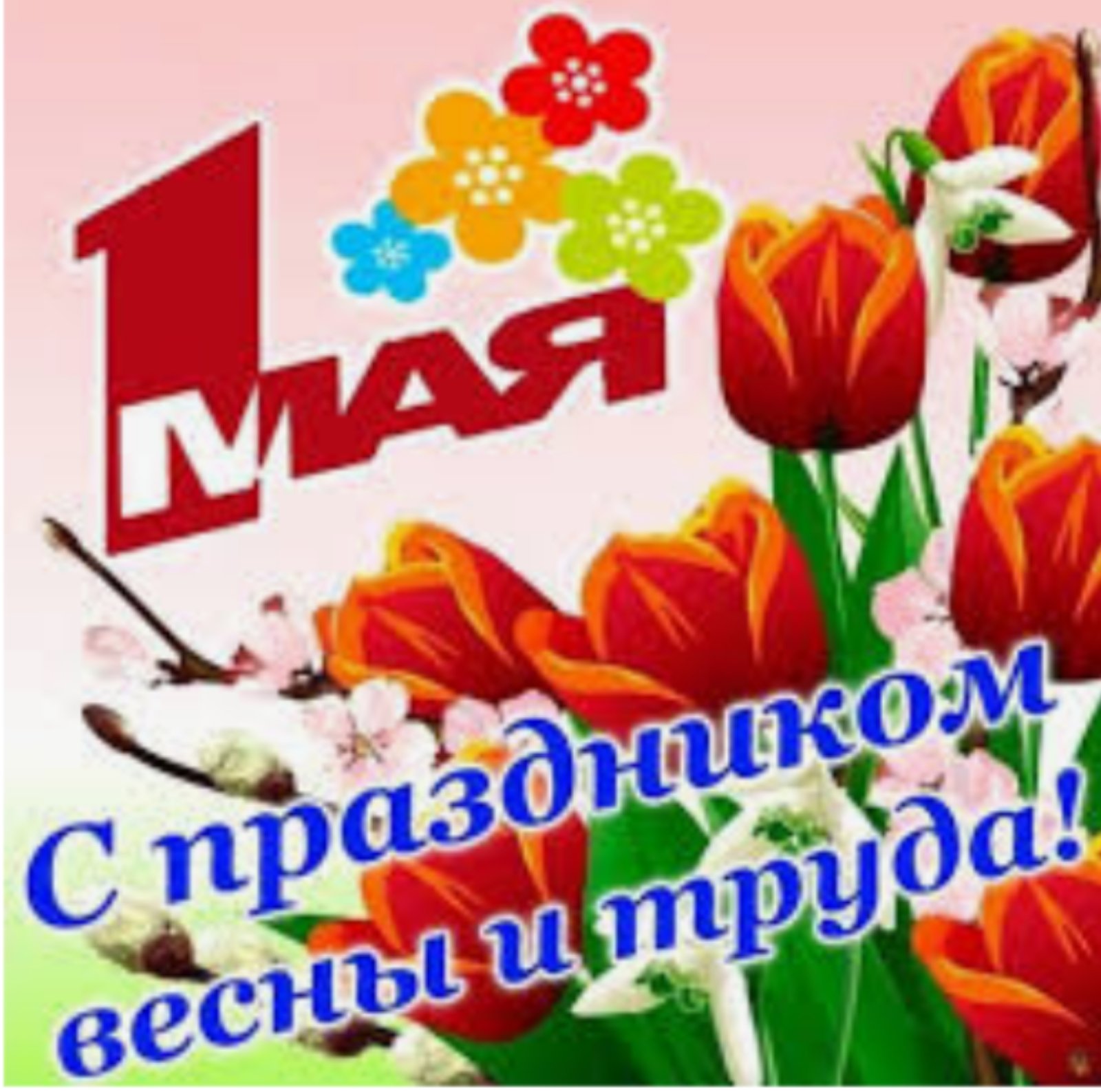 1 maya
